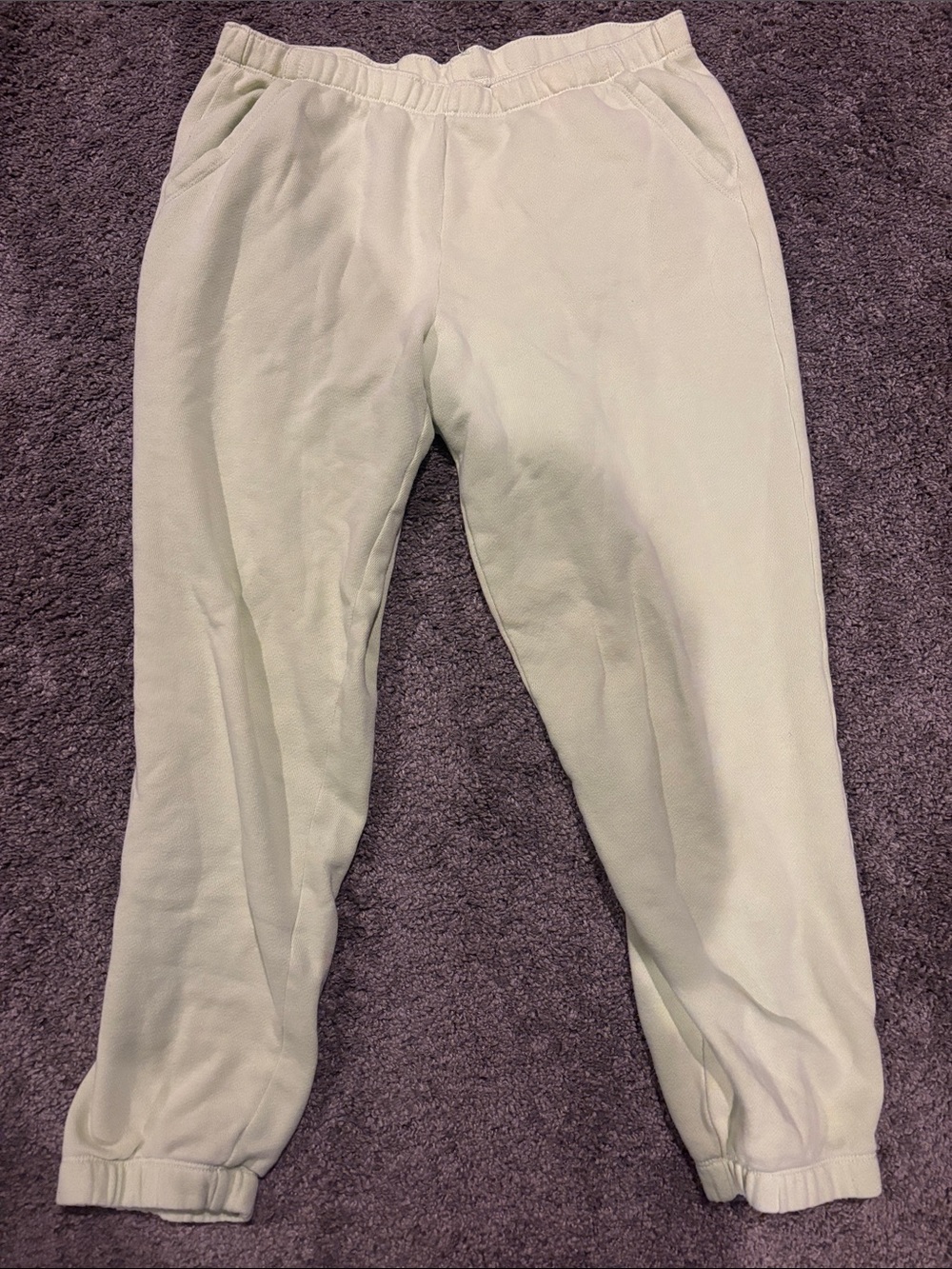 Aerie Mint Green Sweat Pants Size M